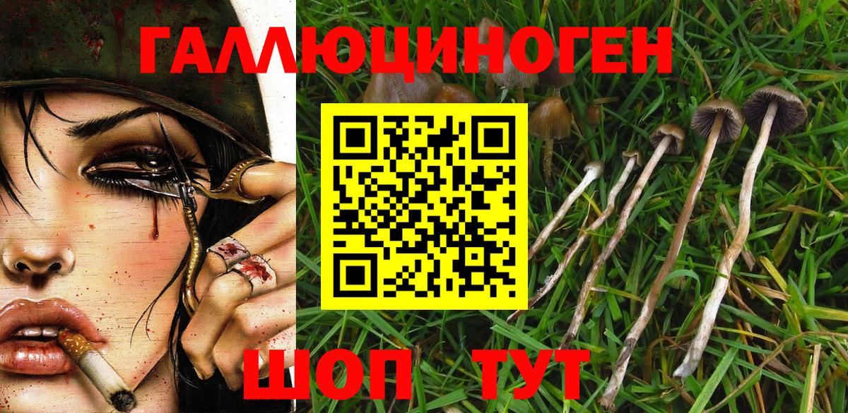 Псилоцибиновые грибы GOLDEN TEACHER  Вход с VPN  Костомукша 