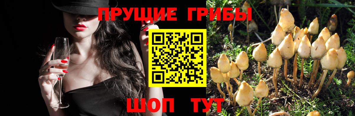 Галлюциногенные грибы ЛСД Костомукша